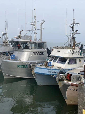 9f83b0_c236284024e647a89a9f7f647ba3aeba~mv2